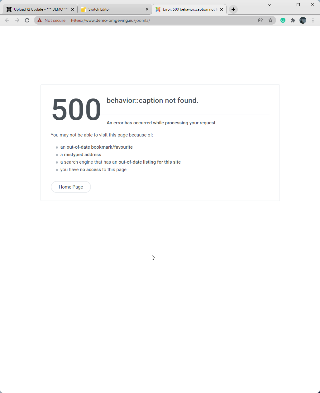 But the homepage is not shown correctly.